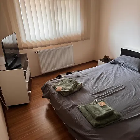 2-room Close To The County Hospital Appartement Timişoara